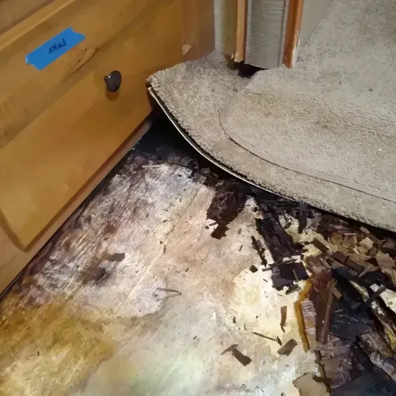 Wood Floor Water Damage in Sun Lakes, AZ